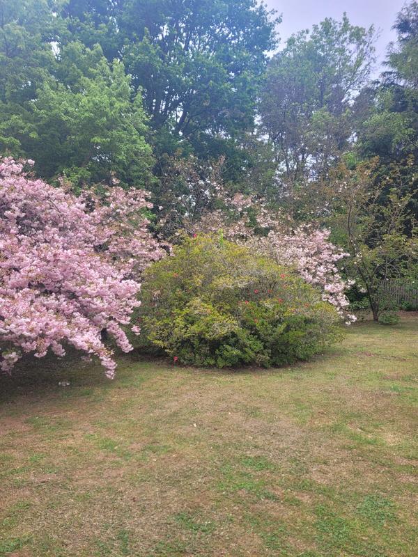 3 Bedroom Property for Sale in Hogsback Eastern Cape